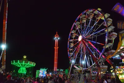 DSC_7810 (Large).JPG